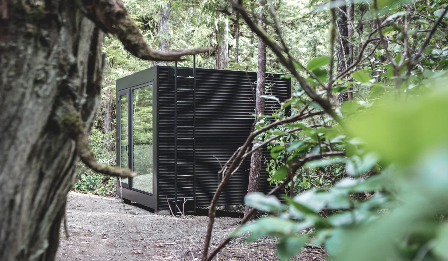 auxffice modular backyard office exterior with cedar cladding